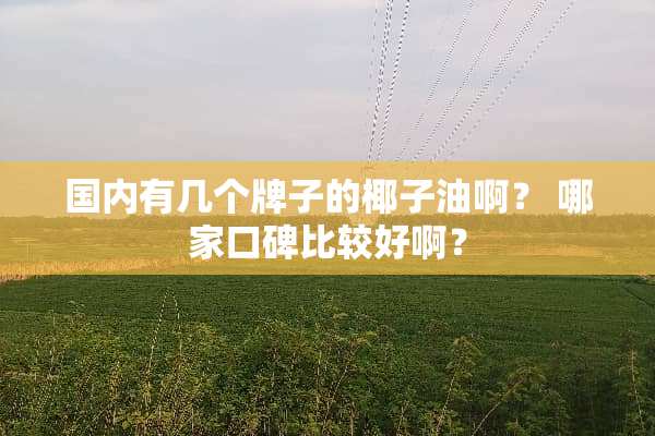 国内有几个牌子的椰子油啊？ 哪家口碑比较好啊？