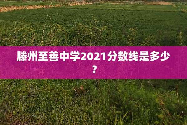 滕州至善中学2021分数线是多少？