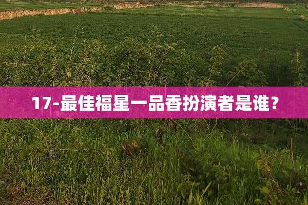 17-最佳福星一品香扮演者是谁？