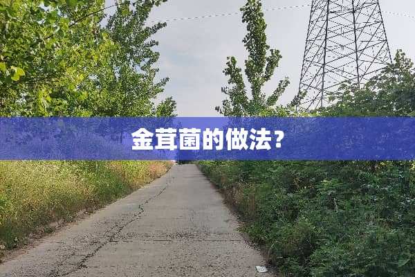金茸菌的做法？