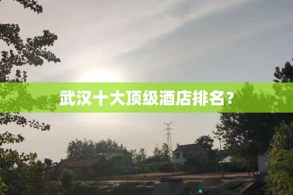 武汉十大**酒店排名？