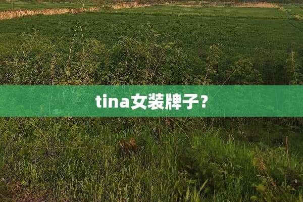 tina女装牌子？