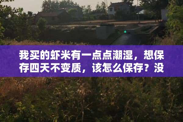 我买的虾米有一点点潮湿，想保存四天不变质，该怎么保存？没冰箱？