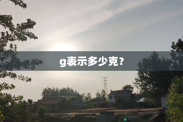 g表示多少克？