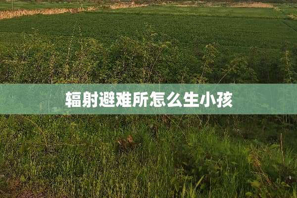 辐射避难所怎么生小孩