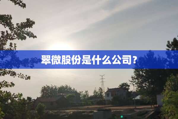 翠微股份是什么公司？