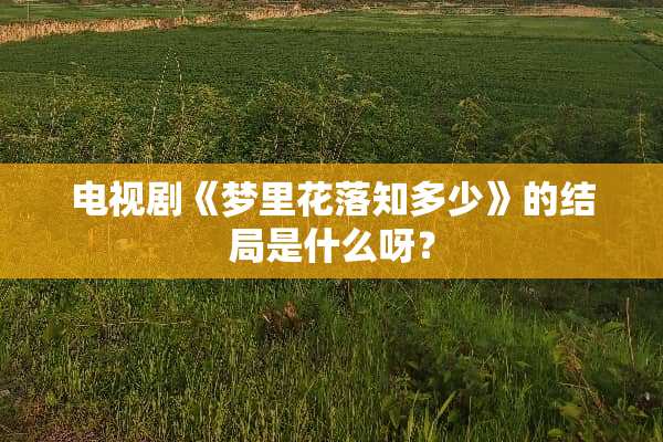 电视剧《梦里花落知多少》的结局是什么呀？