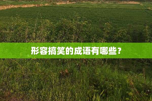 形容搞笑的成语有哪些？