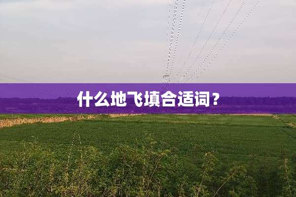 什么地飞填合适词？