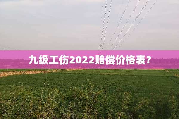 九级工伤2022赔偿价格表？