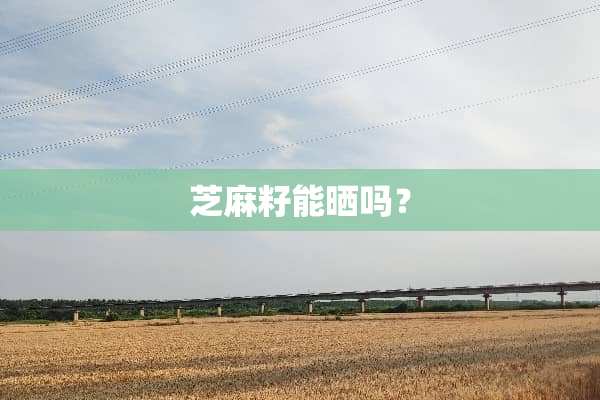 芝麻籽能晒吗？