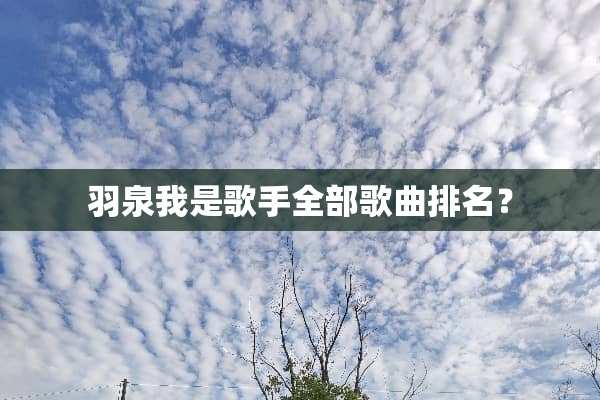 羽泉我是歌手全部歌曲排名？