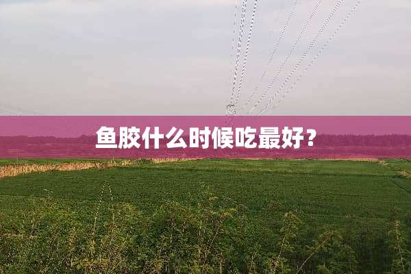 鱼胶什么时候吃最好？