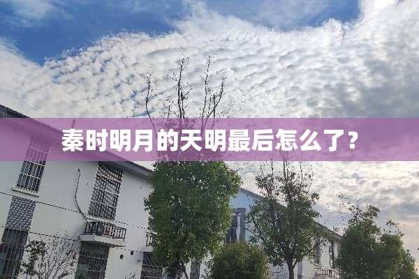 秦时明月的天明最后怎么了？