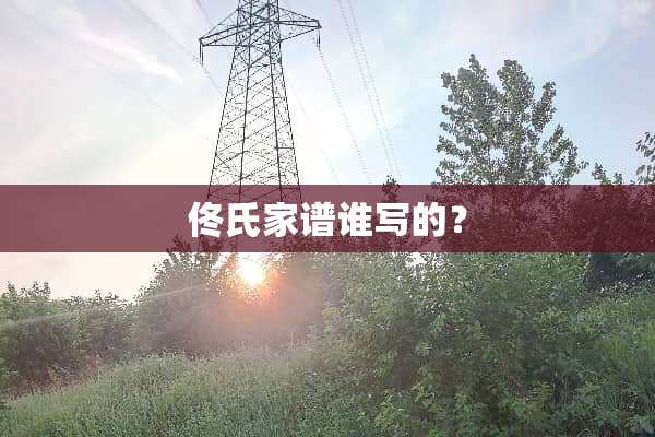 佟氏家谱谁写的？