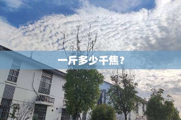 一斤多少千焦？