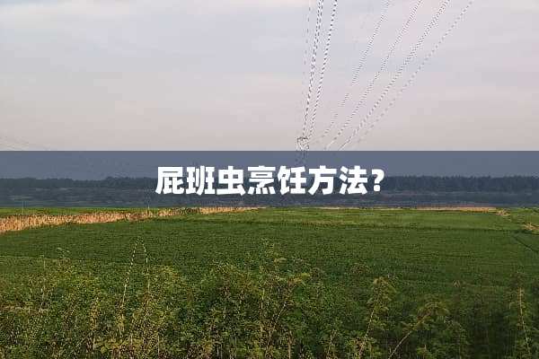 屁班虫烹饪方法？