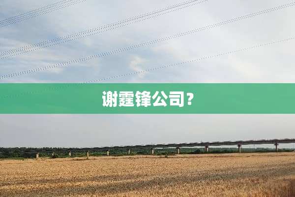 谢霆锋公司？