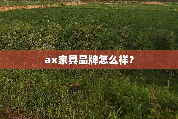 ax家具品牌怎么样？