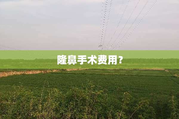 隆鼻手术费用？