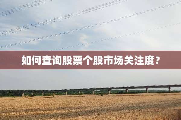 如何查询股票个股市场关注度？