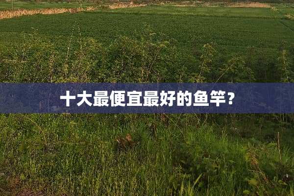 十大最便宜最好的鱼竿？