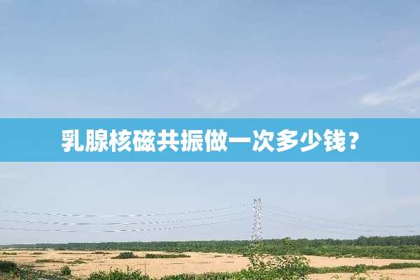 *腺核磁共振做一次多少钱？
