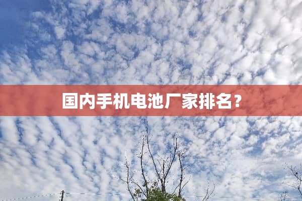 国内手机电池厂家排名？