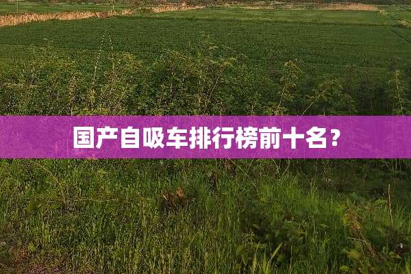国产自吸车排行榜前十名？