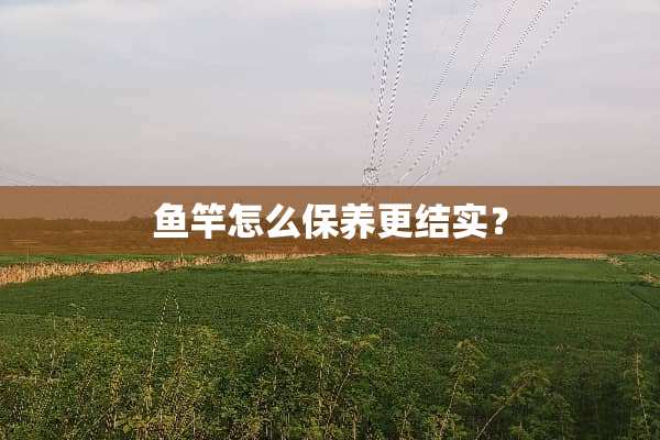 鱼竿怎么保养更结实？