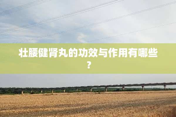 壮腰健肾丸的功效与作用有哪些？