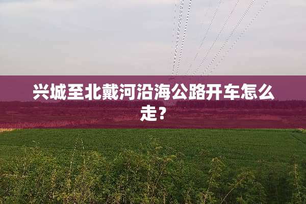 兴城至北戴河沿海公路开车怎么走？