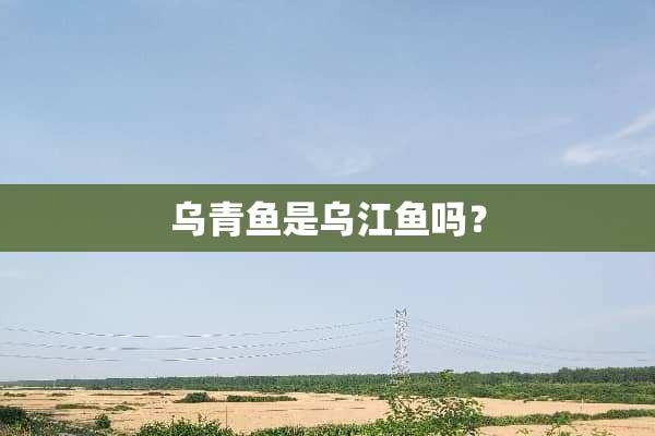 乌青鱼是乌江鱼吗？