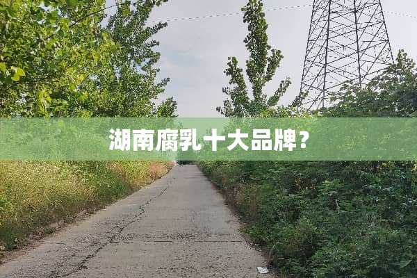 湖南腐*十大品牌？