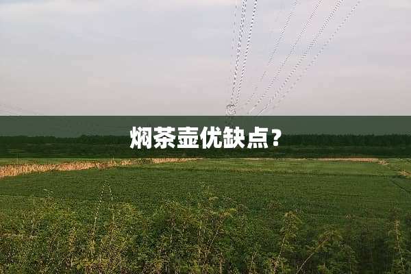 焖茶壶优缺点？