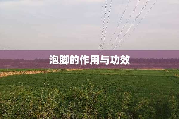 泡脚的作用与功效