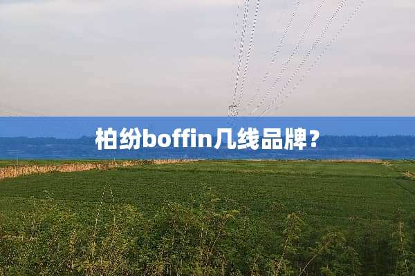 柏纷boffin几线品牌？