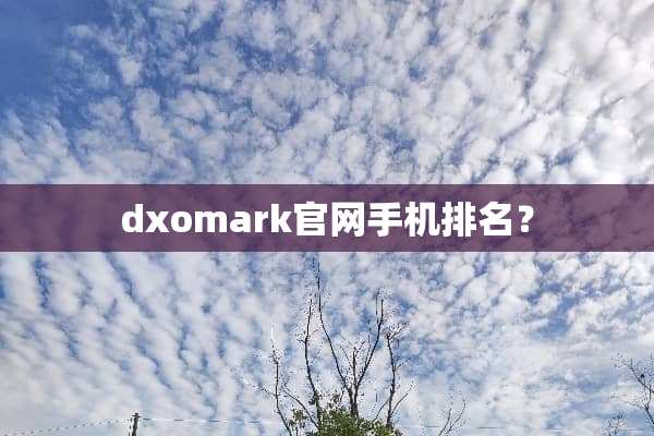 dxomark官网手机排名？