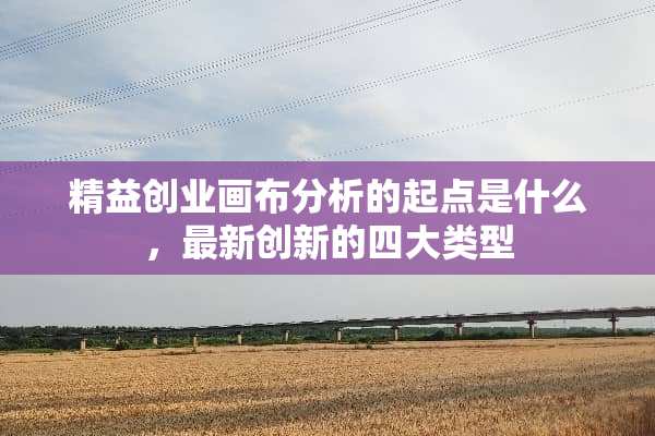 精益创业画布分析的起点是什么，最新创新的四大类型