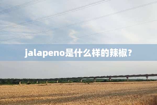 jalapeno是什么样的辣椒？