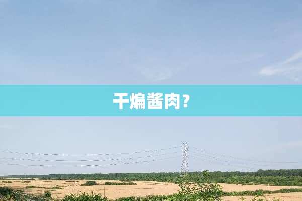 干煸酱肉？