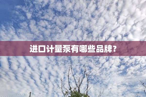 进口计量泵有哪些品牌？