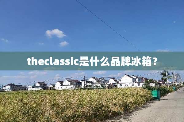 theclassic是什么品牌冰箱？