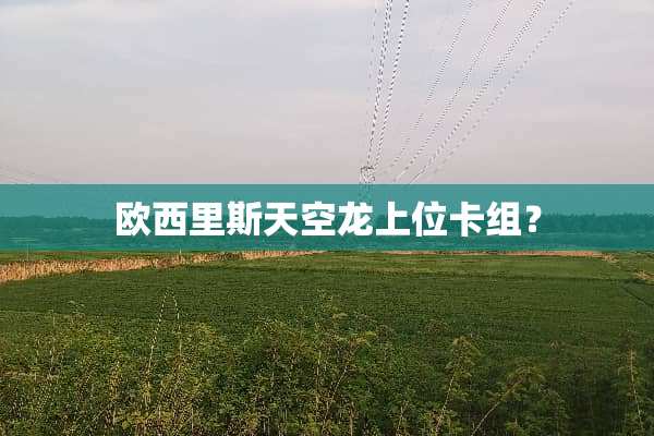 欧西里斯天空龙上位卡组？