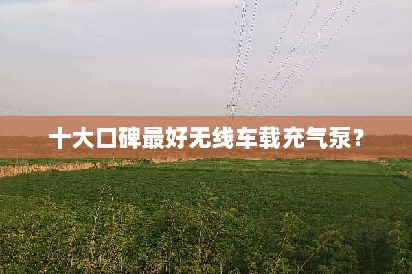 十大口碑最好无线车载充气泵？