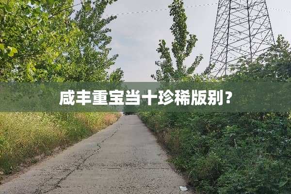 咸丰重宝当十珍稀版别？
