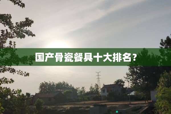 国产骨瓷餐具十大排名？