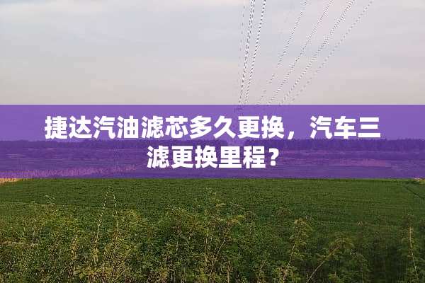 捷达汽油滤芯多久更换，汽车三滤更换里程？