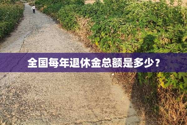 全国每年退休金总额是多少？