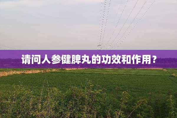 请问人参健脾丸的功效和作用？